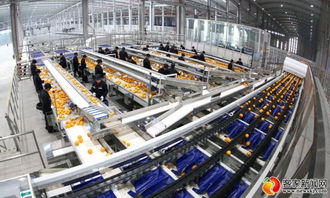 農(nóng)夫山泉信豐工廠竣工投產(chǎn)，打造技術驅(qū)動新標桿，預計年銷售額達4.5億元